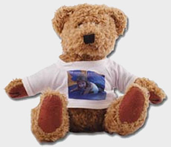 Ositos de Peluche Originales